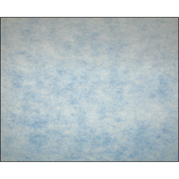 Filtres en m&eacute;dias synth&eacute;tiques &agrave; arrestance &eacute;lev&eacute;e, Tampon, MERV 5, 24" la x 2" p x 12" h Par Equipment