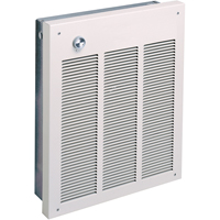 Commercial Fan Forced Wall Heater, Wall Mounted Par Equipment