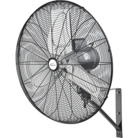 Oscillating Wall Fan, Industrial, 24" Dia., 2 Speeds EA645 | Par Equipment