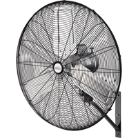 Oscillating Wall Fan, Industrial, 30" Dia., 2 Speeds EA649 | Par Equipment