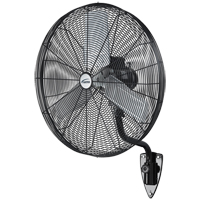 Oscillating Wall Fan, Heavy-Duty, 30" Dia., 3 Speeds EA667 | Par Equipment