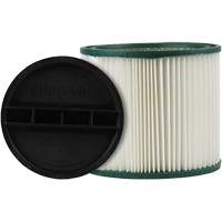 CleanStream&reg; Gore&reg; High Efficiency Filter, Cartridge, Fits 5 US gal. Par Equipment