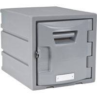 Locker, 12" x 15" x 12", Grey, Assembled FH725 | Par Equipment
