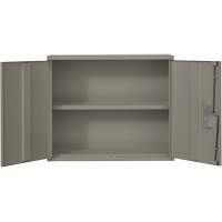 Wall Mounted Cabinet, Steel, 2 Shelves, 30" H x 36" W x 12" D, Grey Par Equipment