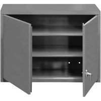 Wall-Mounted Cabinet, 27" H x 29-7/8" W x 13-11/16" D, 2 Shelves, Steel, Grey FL992 | Par Equipment