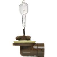886 Basic Fog Light Bulb, Halogen, 50 W, Off White Par Equipment