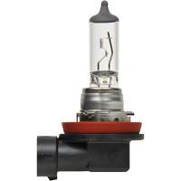 H8 Basic Headlight Bulb FLT984 | Par Equipment