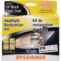 Headlight Restoration Kit FLT986 | Par Equipment
