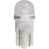 194 Mini Automotive Bulb FLT987 | Par Equipment