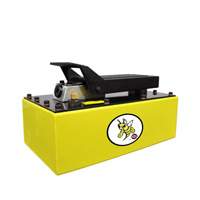 Pompe hydraulique &agrave; air de 5 pintes Par Equipment