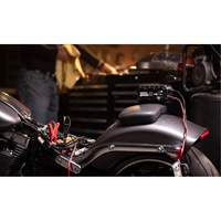 Chargeur de batterie 10 A Genius 10 Par Equipment