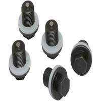 Set of 5 Plugs & Gaskets  Par Equipment