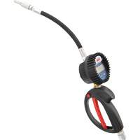 Electronic Lube Meter with Flexible 90° Extension Par Equipment