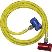 Ensemble flexible de rinçage pour syst&egrave;me de climatisation R1234yf Par Equipment