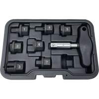 8 Pc. Oil Drain Plug Kit Par Equipment