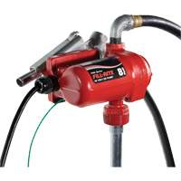 12V DC Fuel Transfer Pump with Nozzle Par Equipment
