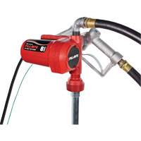 12V DC Fuel Transfer Pump with Nozzle Par Equipment