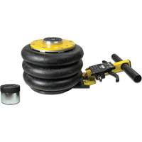 V&eacute;rin &agrave; coussin gonflable triphas&eacute; s&eacute;rie Pro, 2 tonne(s), 22" Hauteur &eacute;lev&eacute;e Par Equipment
