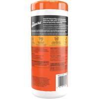 Original Protectant Wipes Par Equipment