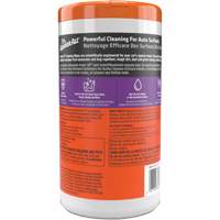 Cleaning Wipes Par Equipment
