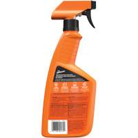 Nettoyant automobile tout usage, 16 oz/473 ml, Bouteille &agrave; g&acirc;chette Par Equipment