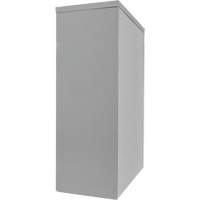 Armoire de rangement &agrave; hauteur de comptoir, Acier, 2 Tablettes, 42" h x 48" la x 24" P, Gris Par Equipment