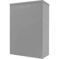 Armoire de rangement &agrave; hauteur de comptoir, Acier, 2 Tablettes, 42" h x 48" la x 24" P, Gris Par Equipment
