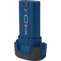 Batterie de remplacement R2170 3,7 V Par Equipment