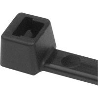 PA66 Cable Ties, 5-1/2" Long, 18 lbs. Tensile Strength, Black Par Equipment