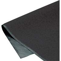 Tapis ColorStar, Essuie-pieds, 3' x 5' x 3/8", Charbon Par Equipment