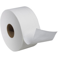 Advanced Soft Mini Toilet Paper, Jumbo Roll, 2 Ply, 751' Length, White JB565 | Par Equipment