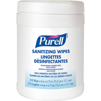 Hand Sanitizing Wipes, Canister JD602 | Par Equipment