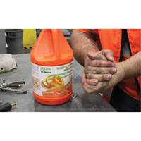 Nettoyant pour les mains &agrave; l'orange, Pierre ponce, 3,6 L, Cruche, Orange Par Equipment