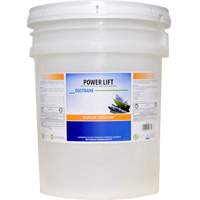Power Lift Industrial Degreaser, 20 L, Pail Par Equipment