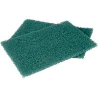 Scotch-Brite Hand Pads, Scrubbing, 6" W x 9" L Par Equipment