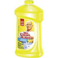 Summer Citrus All-Purpose Cleaner, Bottle JI651 | Par Equipment