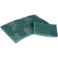 Scrubber Pad, 3" L x 4-1/2" W Par Equipment