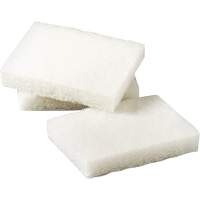 Scotch-Brite Light Duty Scrubbing Pad, 5" L x 3-1/2" W Par Equipment