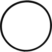 Courroie d'entrainement de rechange pour brosse Par Equipment