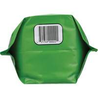 Biodegradable Hand Cleaner, Powder, 4.5 lbs., Packet, Unscented Par Equipment