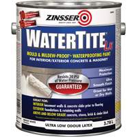 Watertite<sup>®</sup> LX Mold & Mildew-Proof™ Waterproofing Paint, 3.78 L, Gallon, White JL336 | Par Equipment