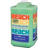 Reach Extra Heavy-Duty Hand Cleaner, Pumice, 3.78 L, Jug, Scented JL659 | Par Equipment