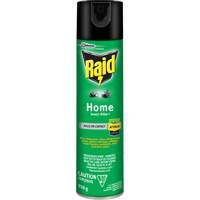 Raid&reg; Home Insect Killer, 350 g, Solvent Base Par Equipment
