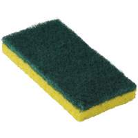 745 Medium-Duty Scouring Sponges, 6-1/4" L x 3-3/16" W Par Equipment