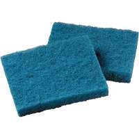 Non-Stick Cookware Cleaning Pad, Scrubbing, 5-1/4" W x 4" L Par Equipment