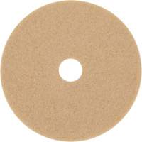 Trizact Diamond TZ Abrasive Strip, 20", Burnishing, Beige Par Equipment