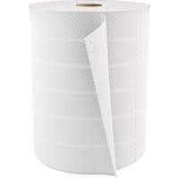 Utility Paper Towels, 2 Ply, Standard Par Equipment