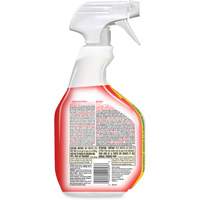 Disinfecting Bio Stain & Odour Remover, 946 ml, Trigger Bottle Par Equipment