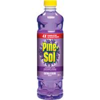 Pine-Sol<sup>®</sup> Multi-Surface Cleaner, Bottle JP201 | Par Equipment