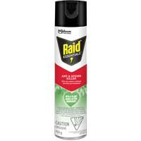 Raid&reg; Essentials Ant & Spider Killer, 350 g, Aerosol Can Par Equipment